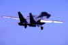 F14infumes.jpg (9383 bytes)