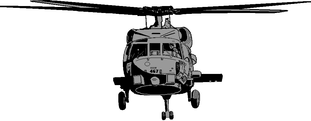HSL46 helo.gif (8809 bytes)