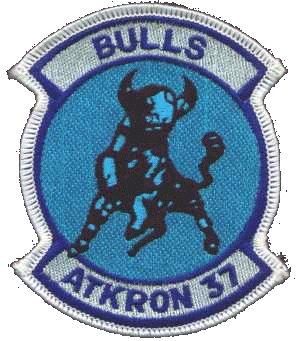 VA37.gif (75648 bytes)