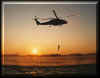 night_sar