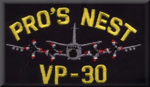vp30_pros_nest_hat.jpg (14270 bytes)