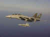tomcat1.jpg (69900 bytes)